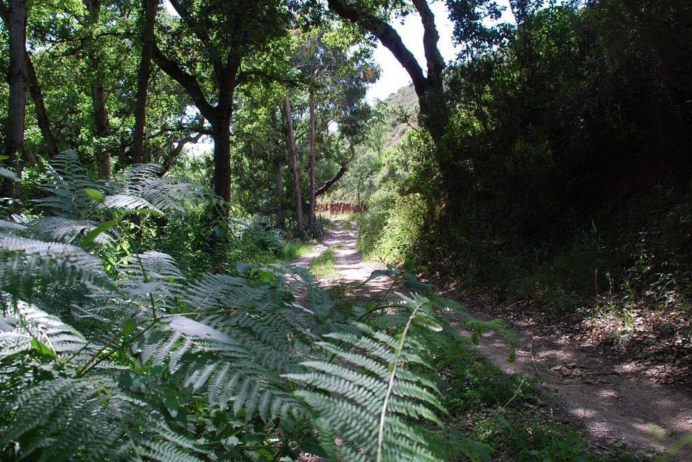 Casas Da Cerca Otel Formia Dış mekan fotoğraf